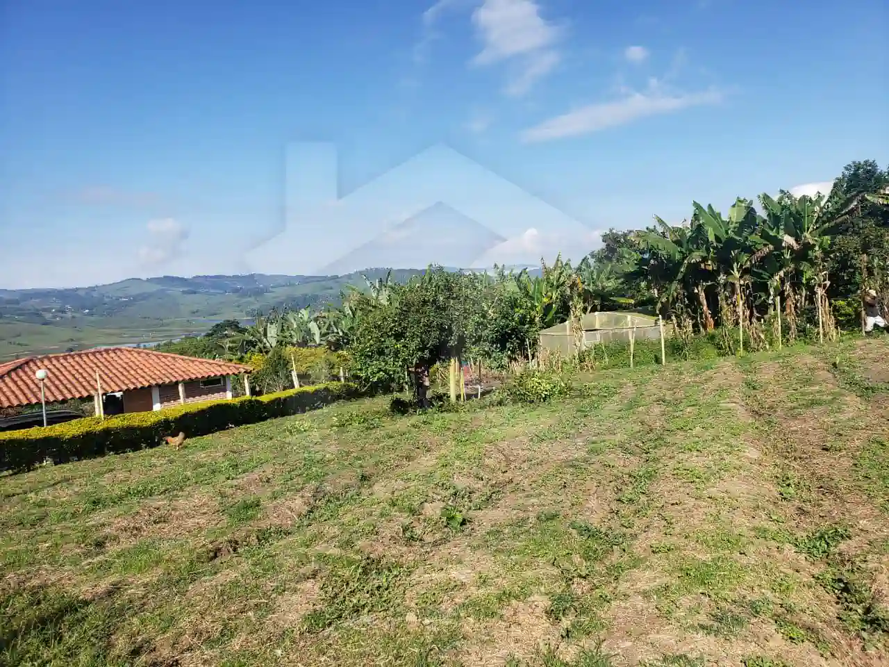 Palo Negro Yotoco Jiguales